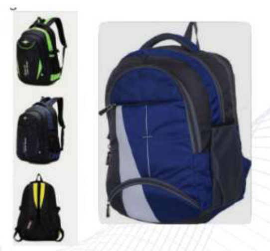 Ergonomic Heavy-Duty School Backpack
